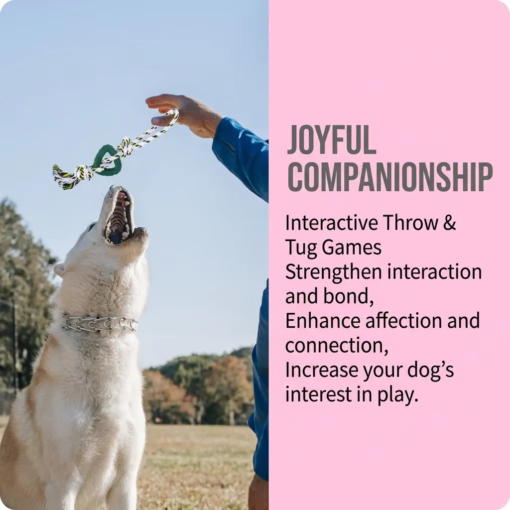 Dog Rope Toy - Interactive Play