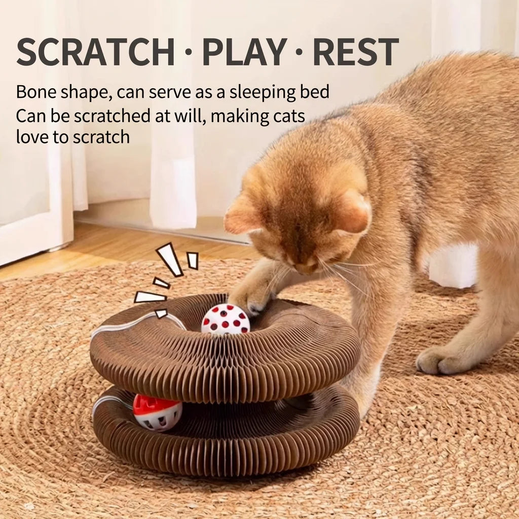 Magic Organ Cat Scratcher - Cat Playing