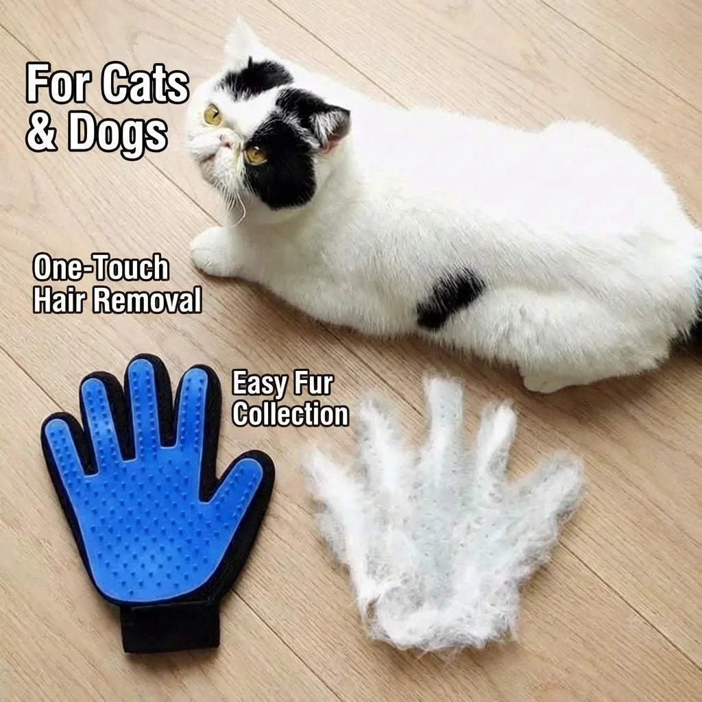 Blue Silicone Cat Dog Grooming Massage Glove Lifestyle