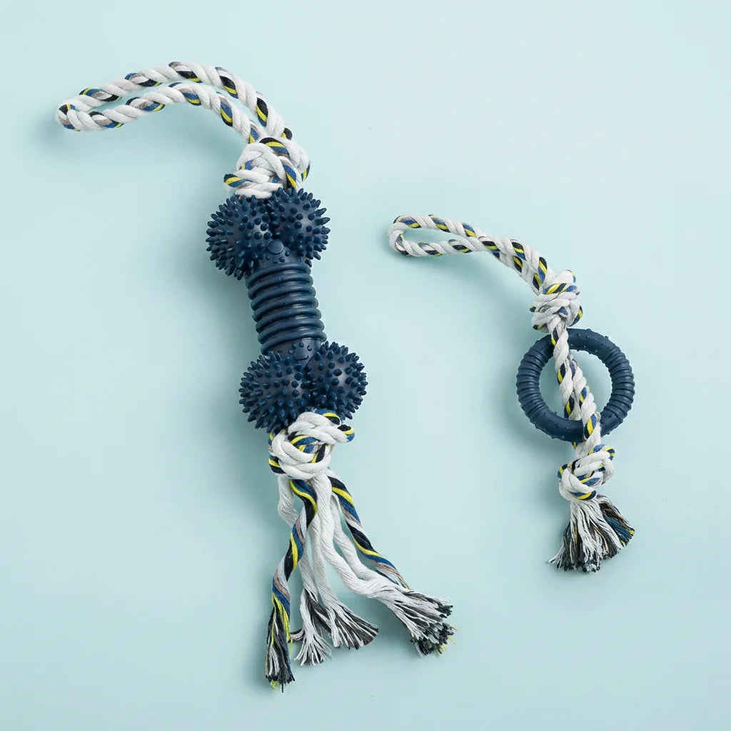 Dog Rope Toy - Lifestyle Scene