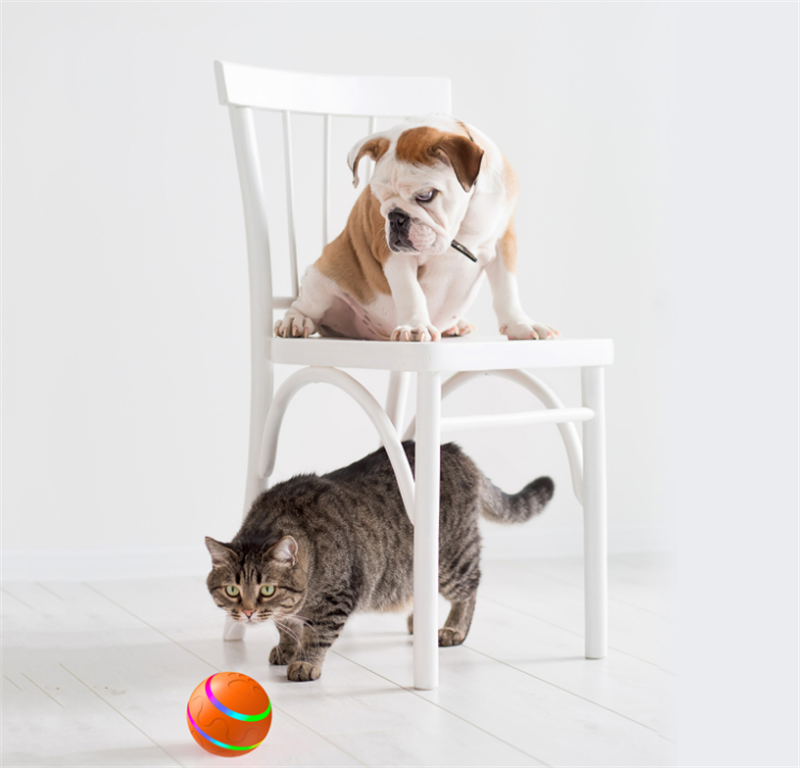 FurEase™ Interactive Smart Cat Ball | Self-Rolling Toy for Indoor Cats