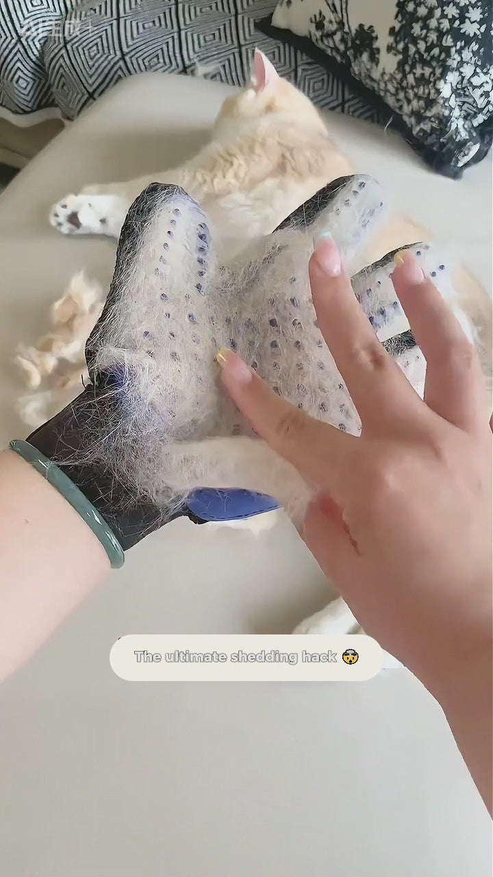 Silicone Pet Grooming Glove