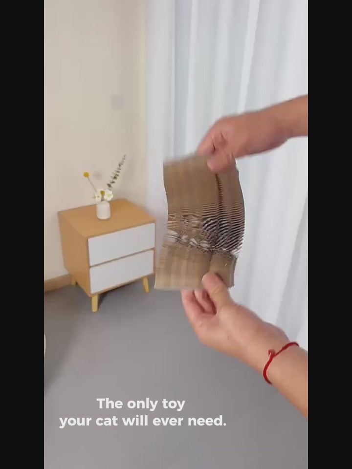 Magic Organ Foldable Cat Scratcher